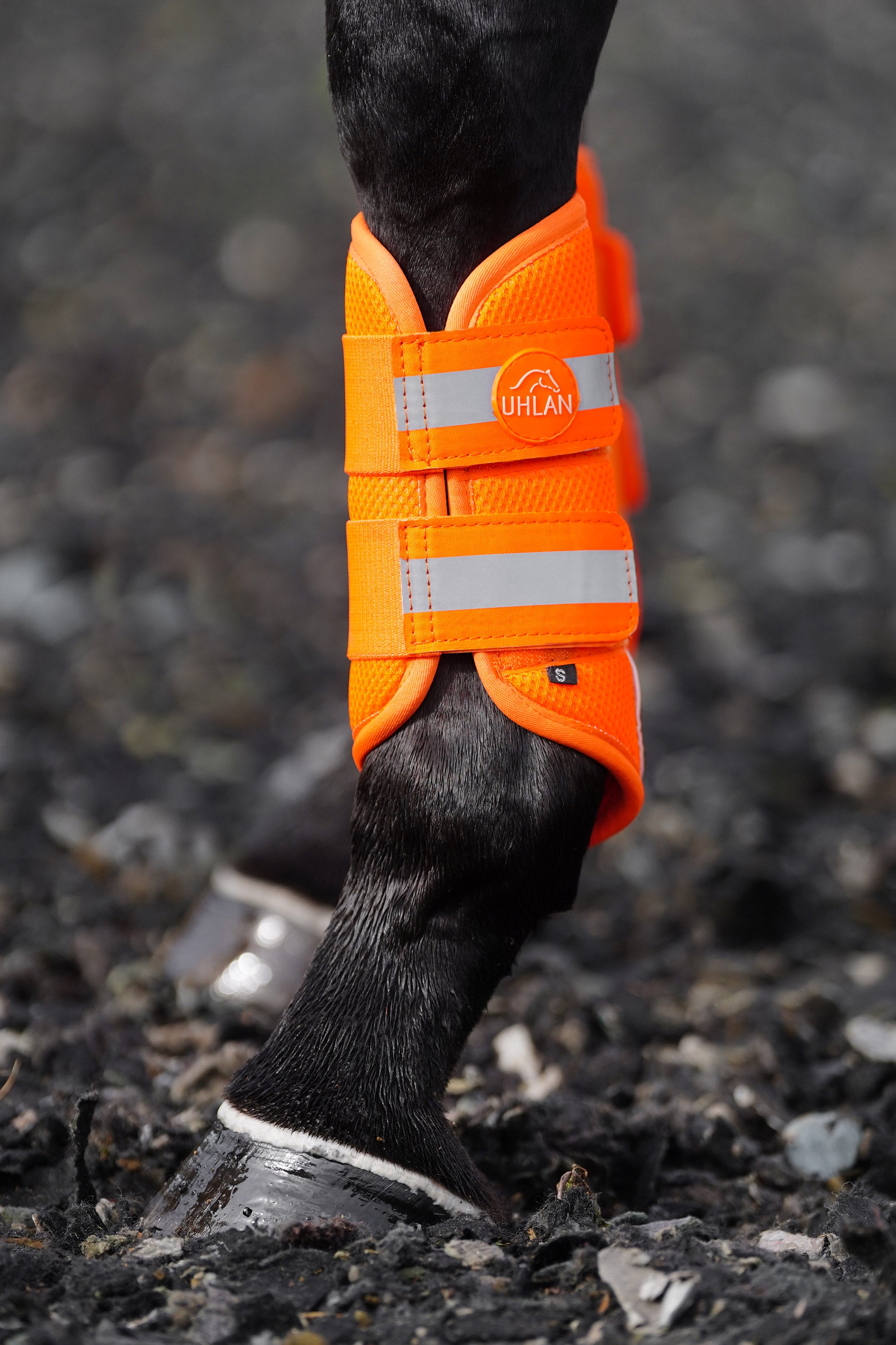 Orange horse boots Clearance