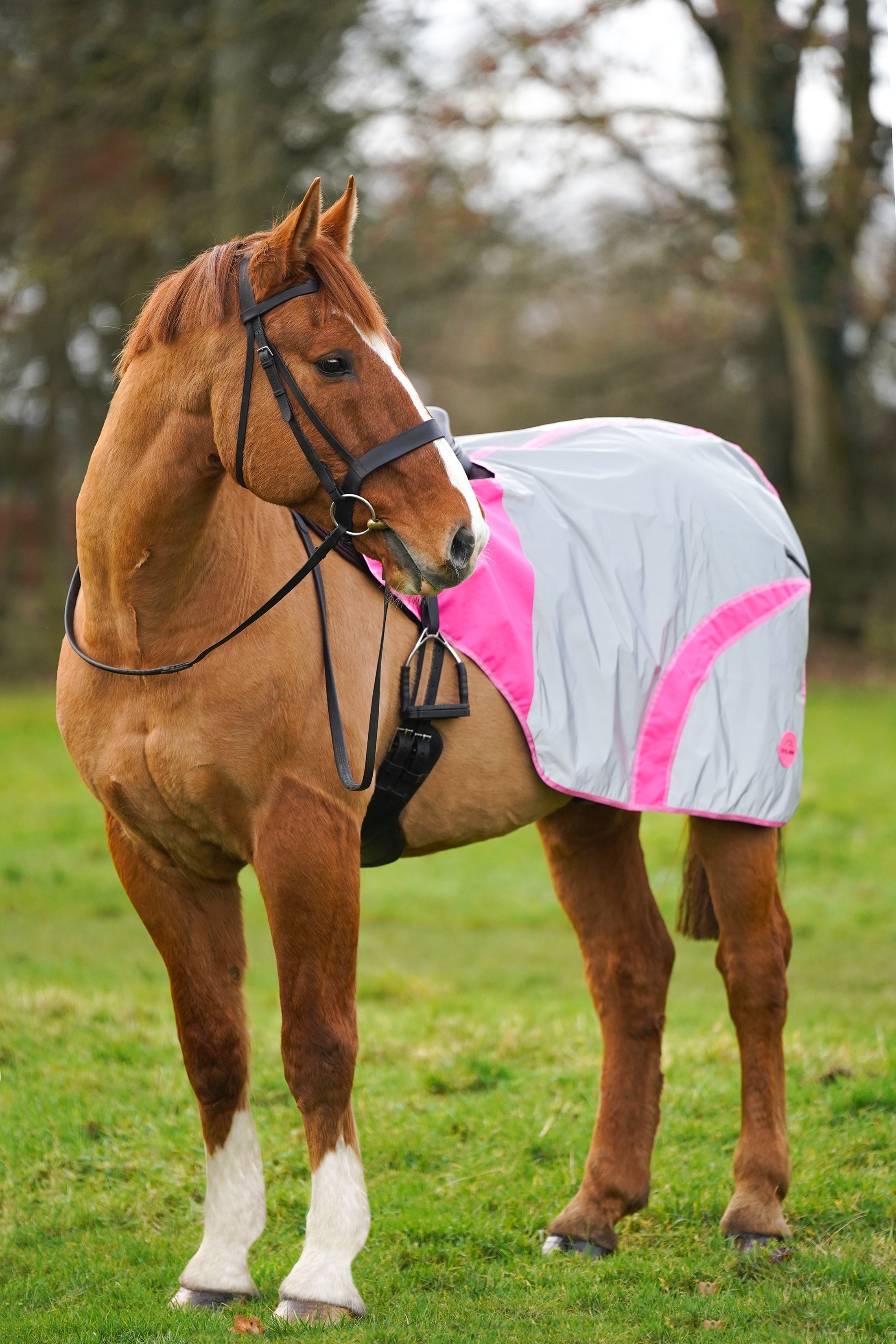 Hi viz brushing hot sale boots for horses