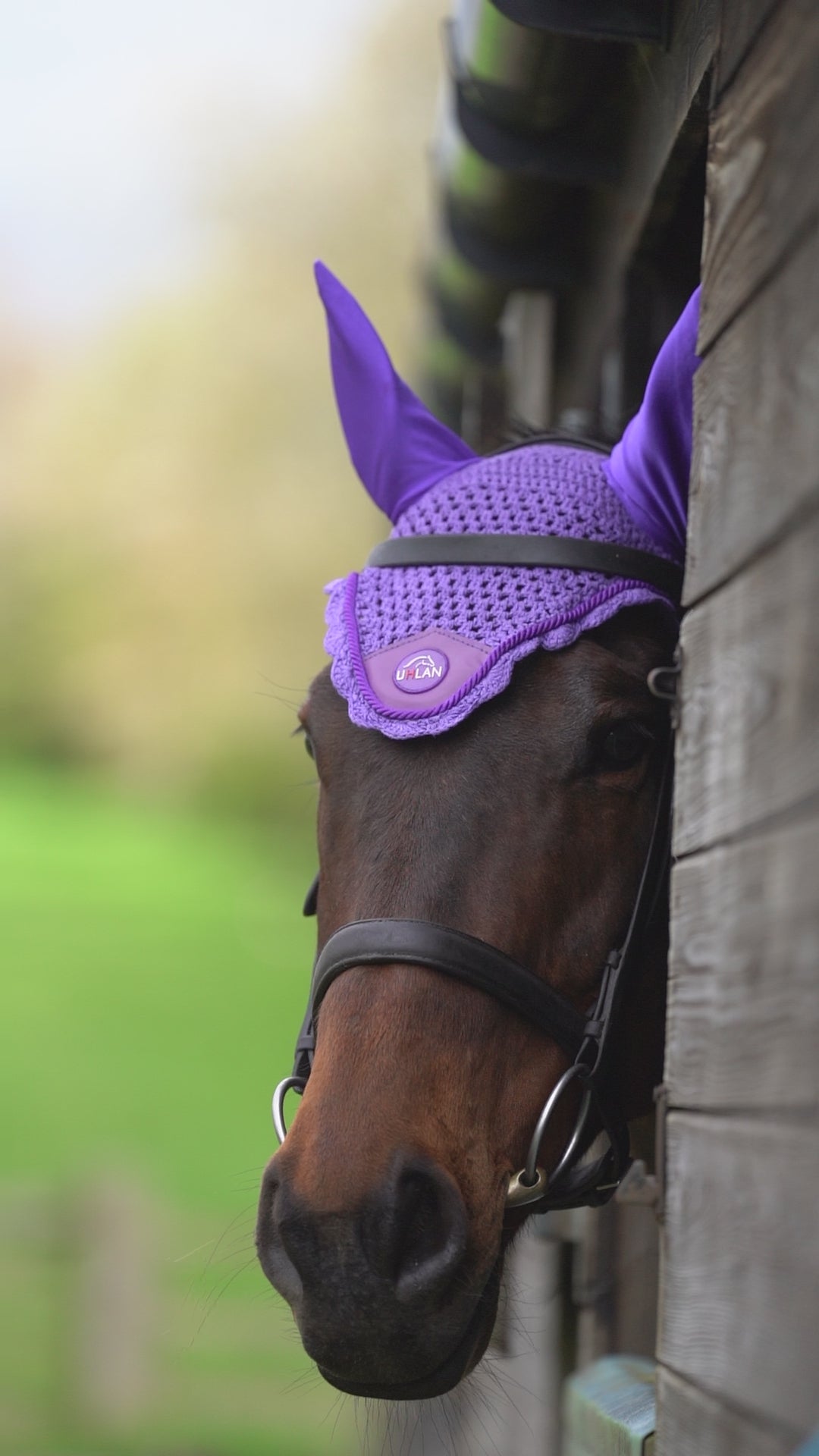 Purple Fly Veil/Ear Bonnet