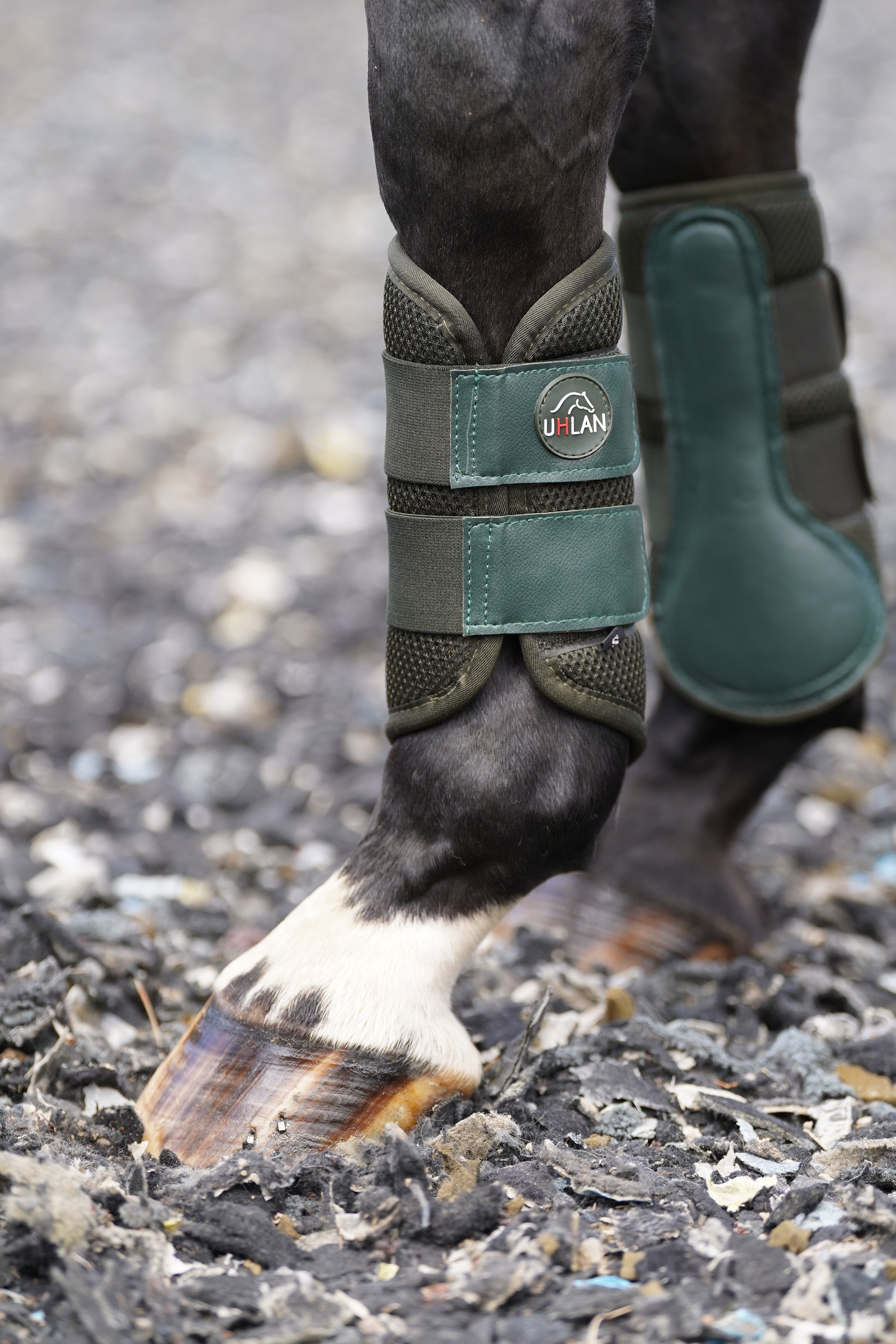 Horse shop brushing boots