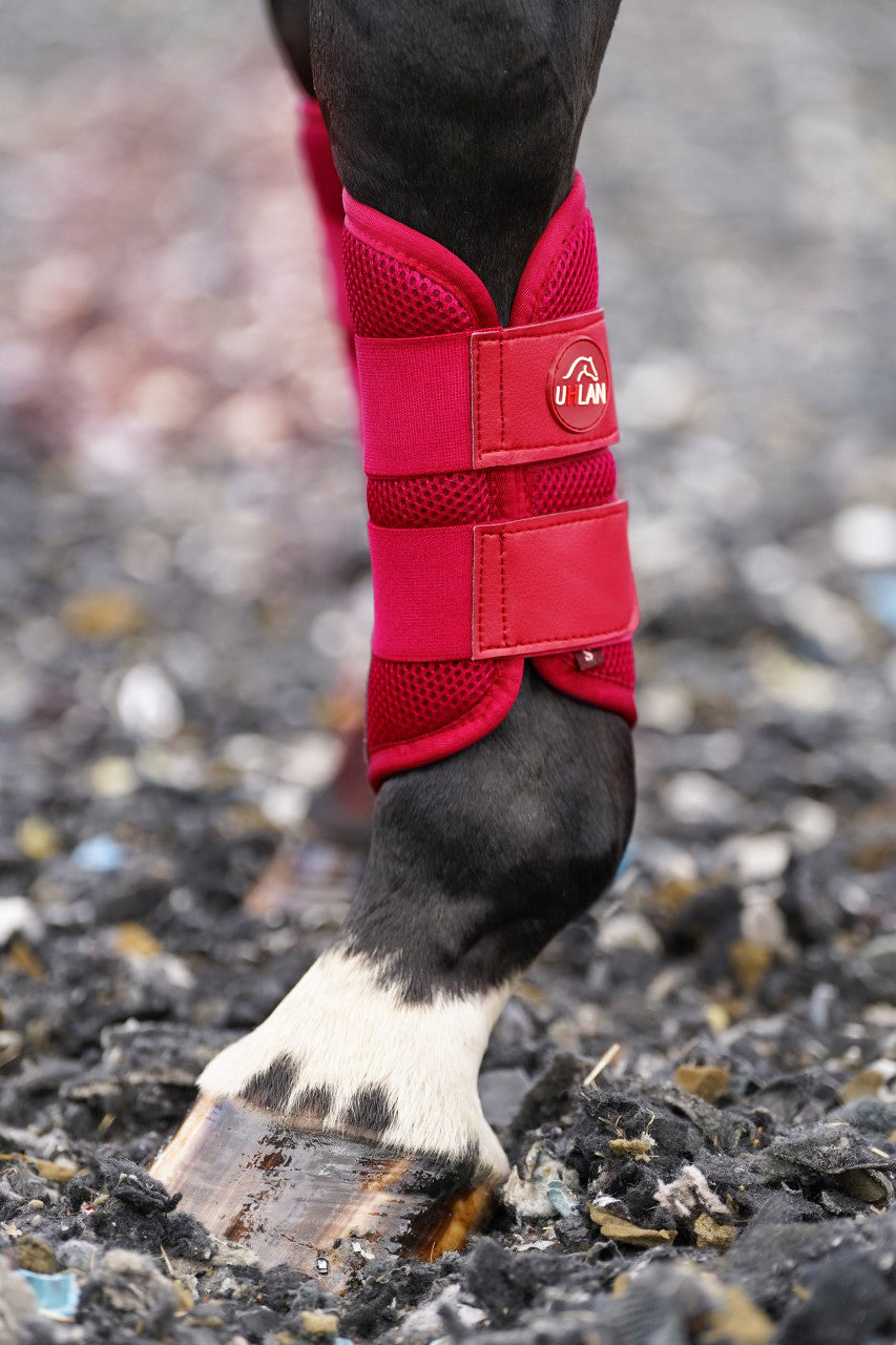 Red brushing boots Clearance