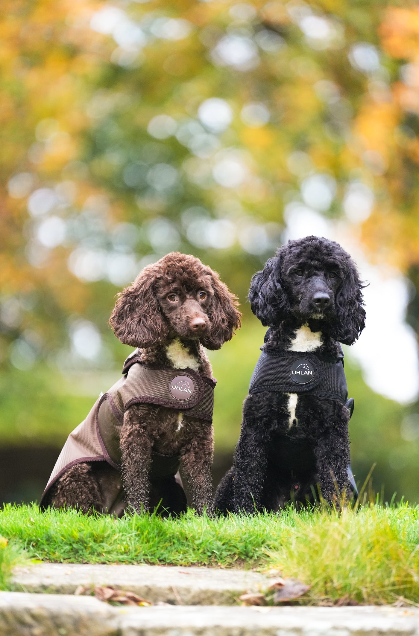 Brown Waterproof Dog Coat