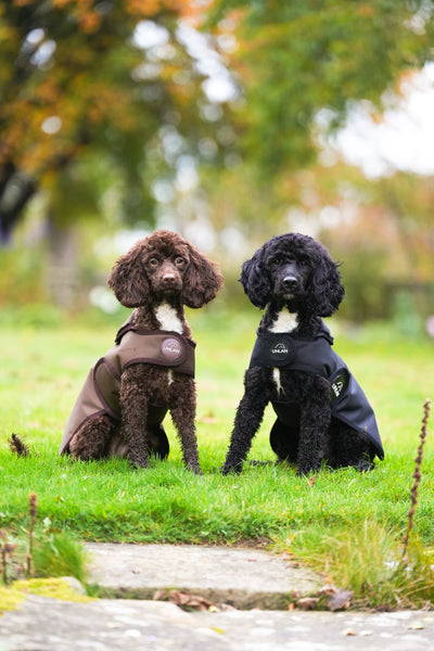 Brown Waterproof Dog Coat