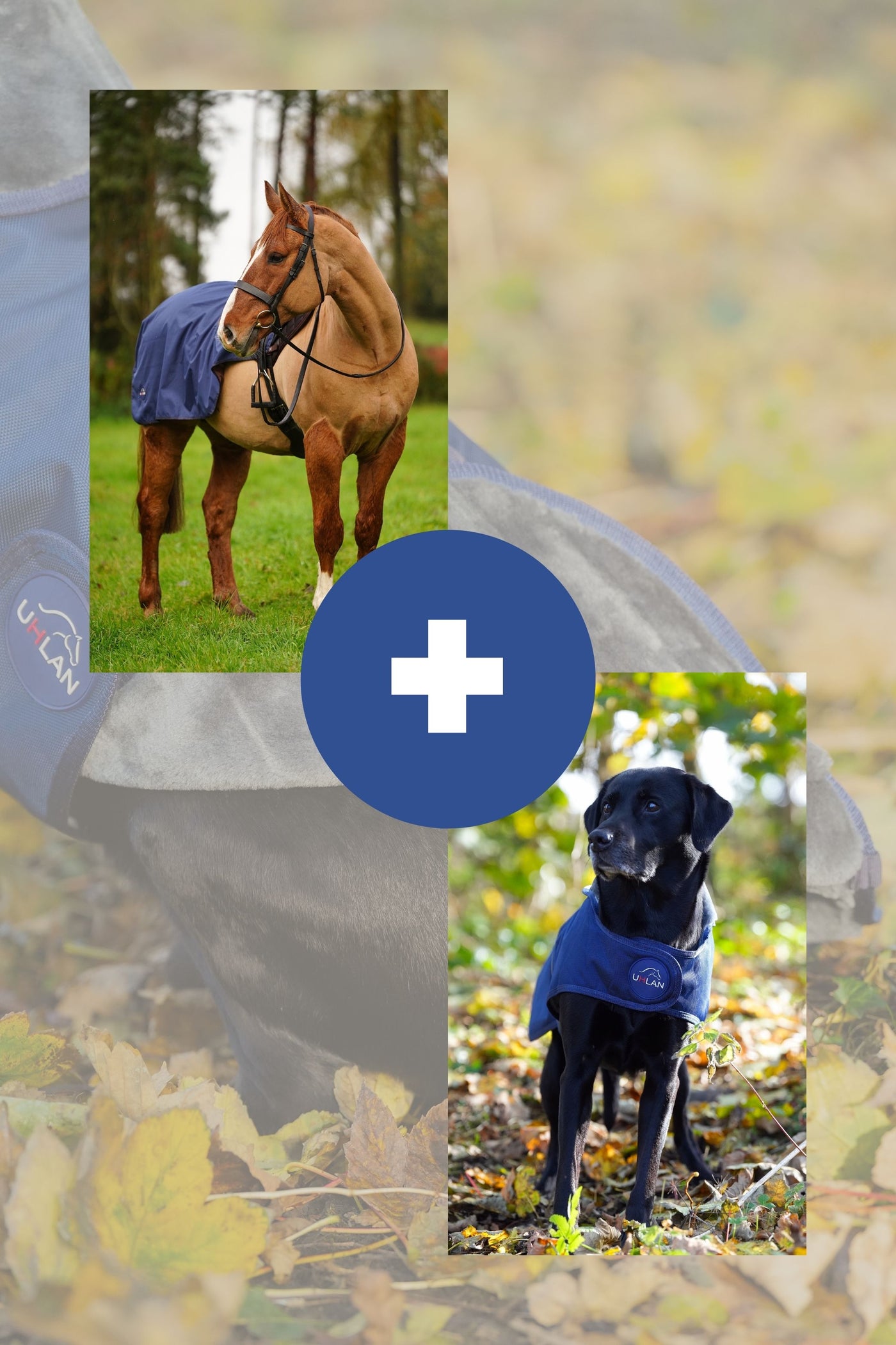 Navy matching horse and dog waterproof rug