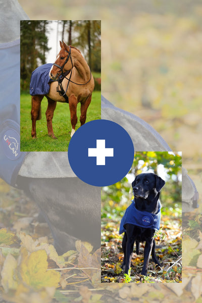 Navy matching horse and dog waterproof rug