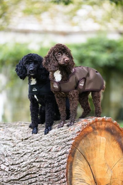 Brown Waterproof Dog Coat