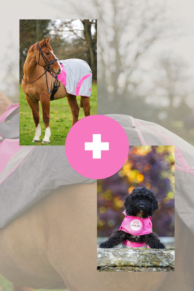 Pink hi viz matching horse and dog rug