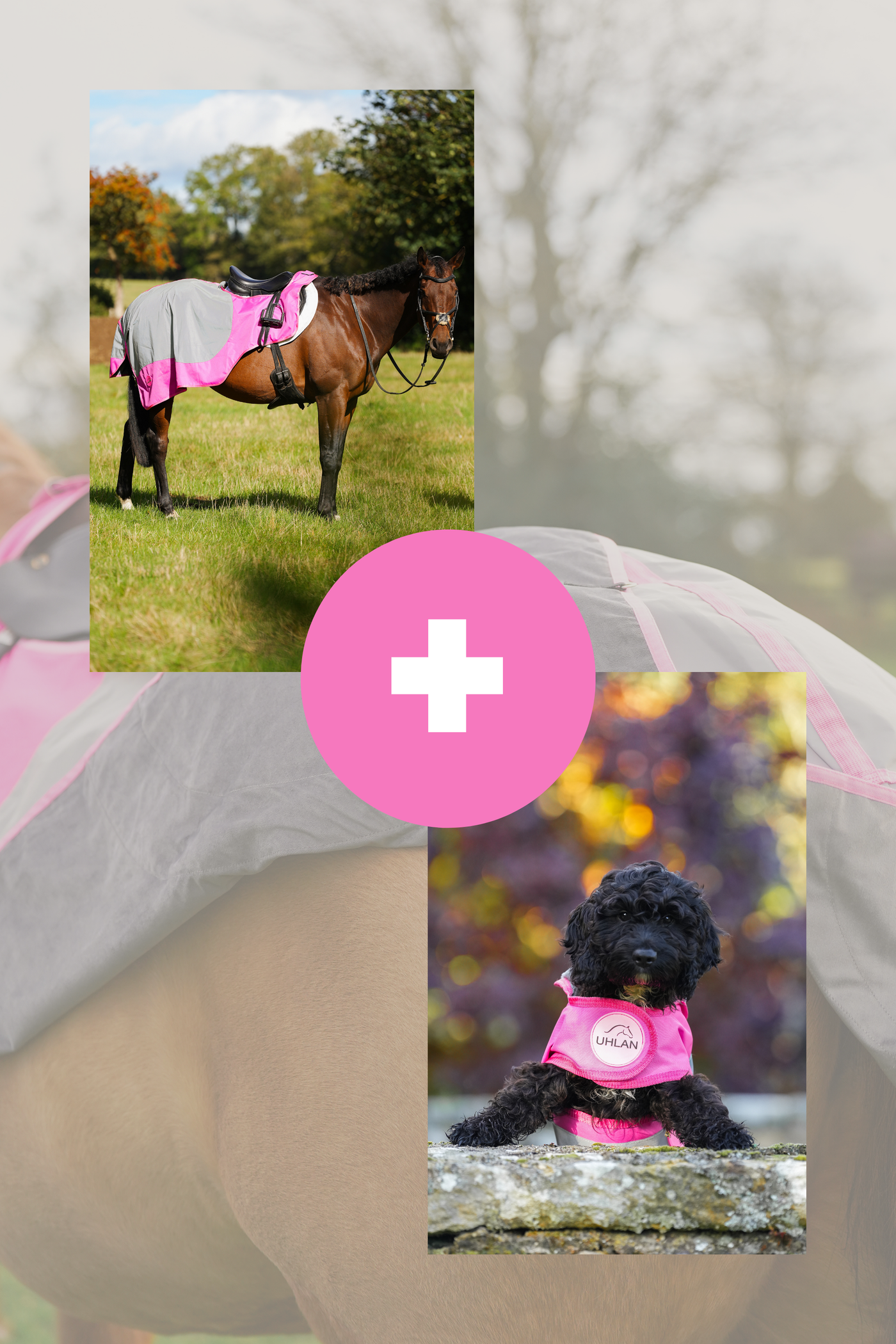 Pink hi viz matching horse and dog rug