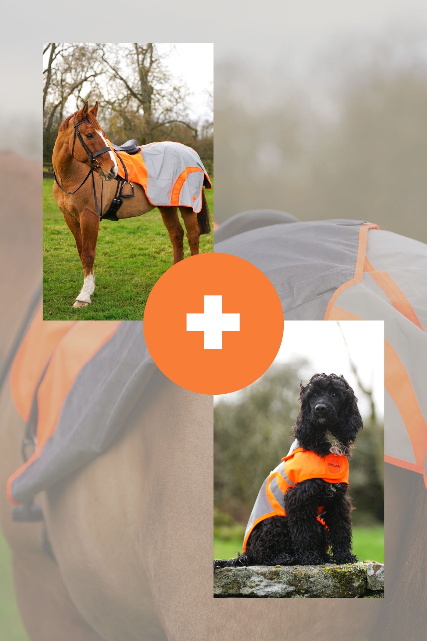 Orange Hi Viz Matching Horse And Dog Rug