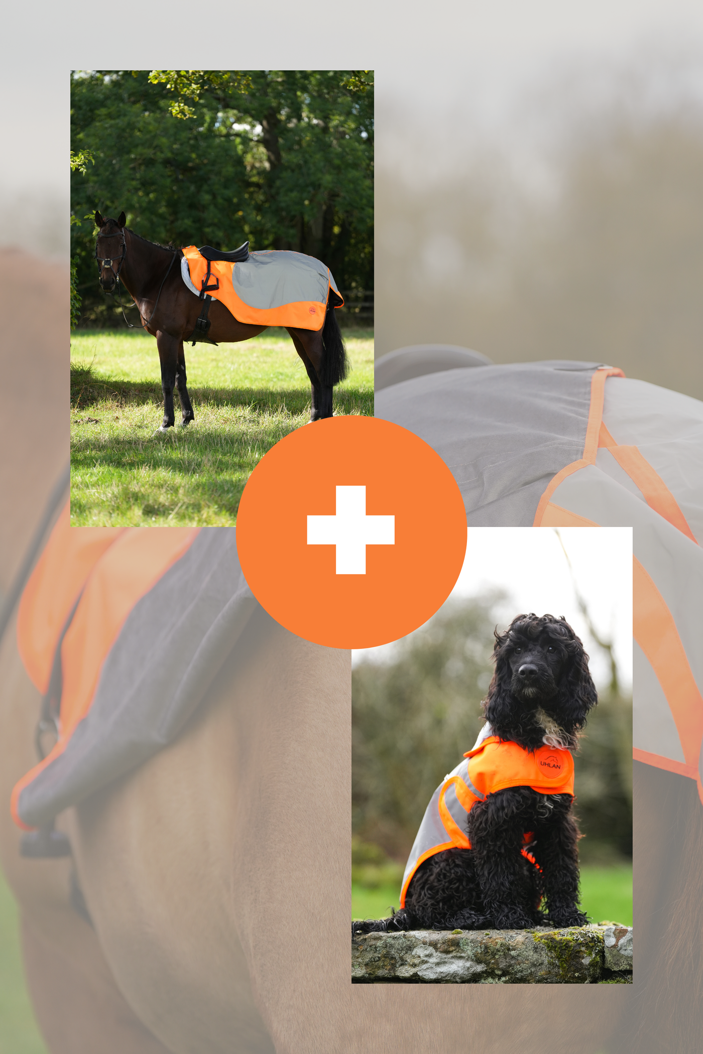 Orange Hi Viz Matching Horse And Dog Rug