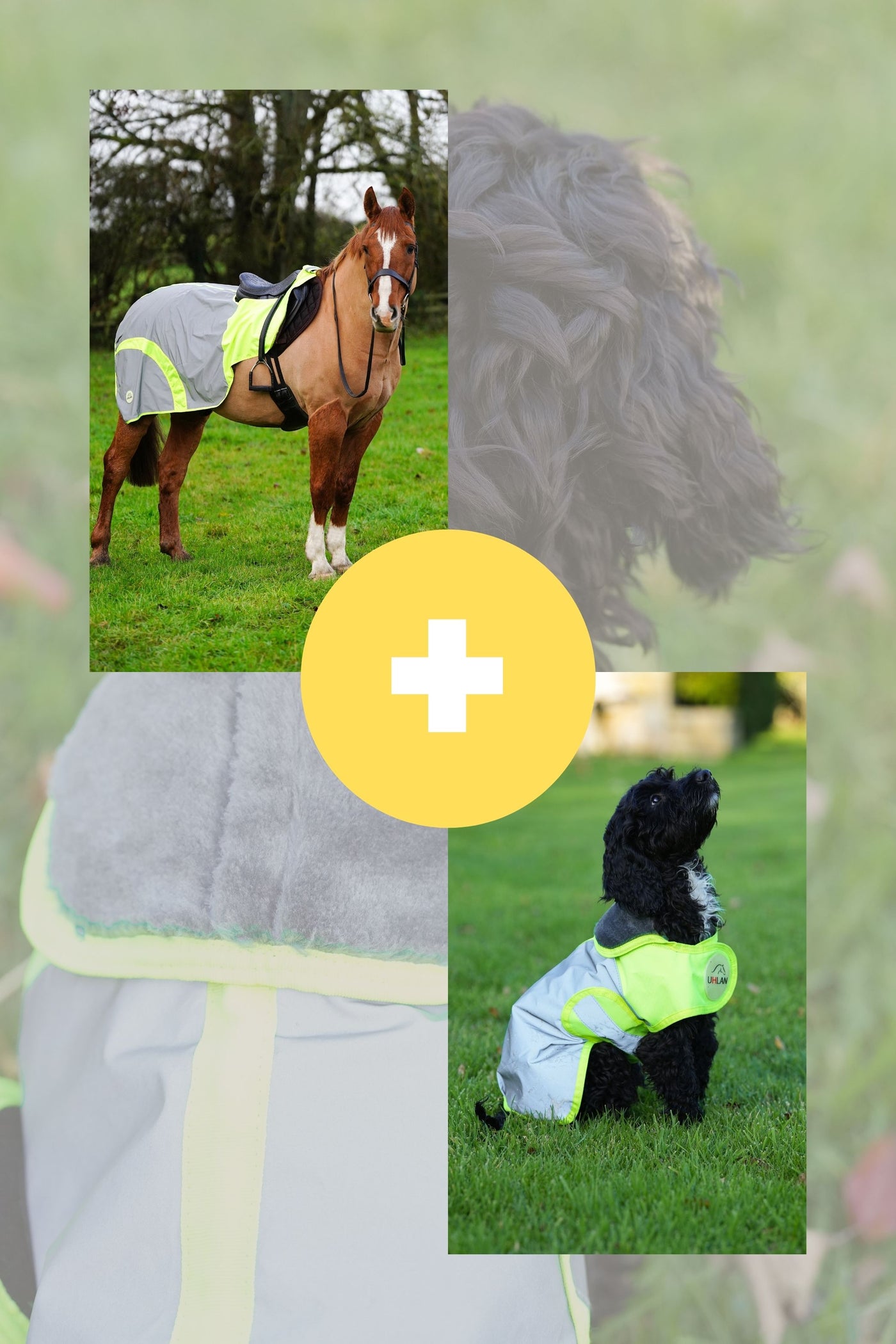 Yellow hi viz matching horse and dog rug