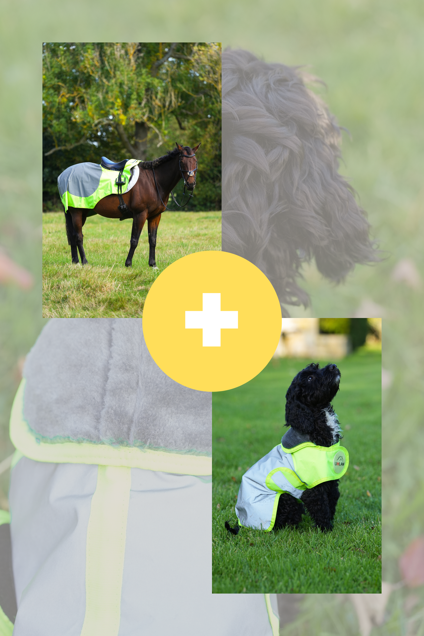 Yellow hi viz matching horse and dog rug