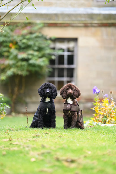 Brown Waterproof Dog Coat
