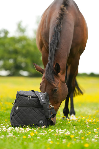 Black Grooming Pro Bag With USB Port & Drinks Cooler