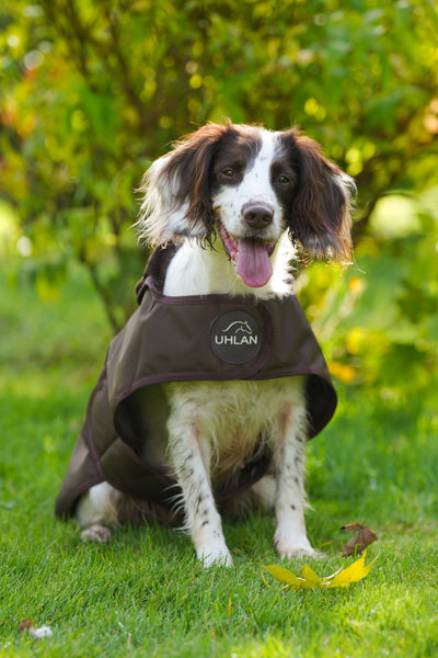 Brown Waterproof Dog Coat