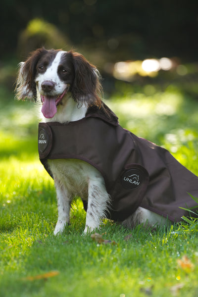 Brown Waterproof Dog Coat