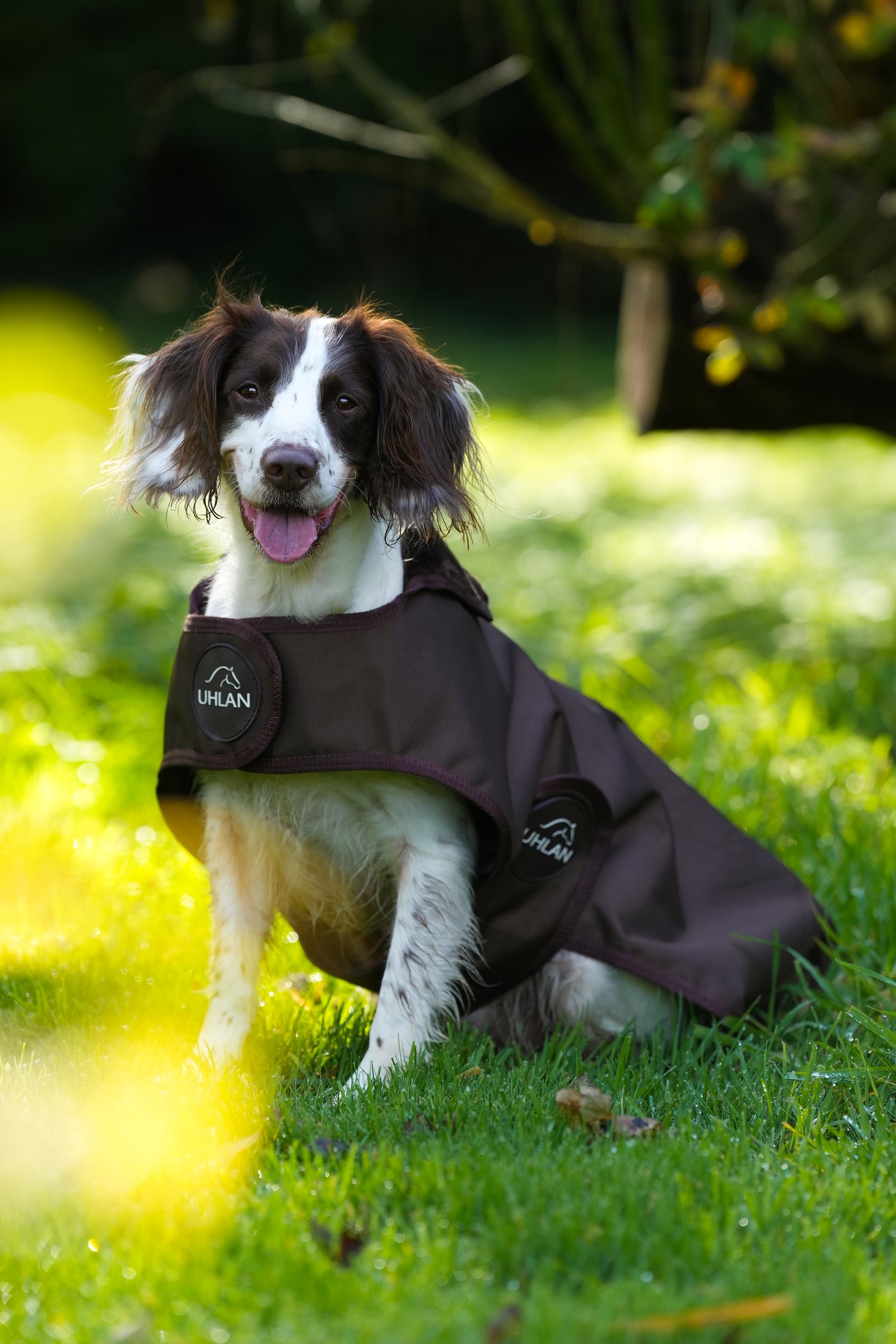 Brown Waterproof Dog Coat