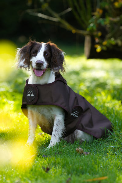 Brown Waterproof Dog Coat