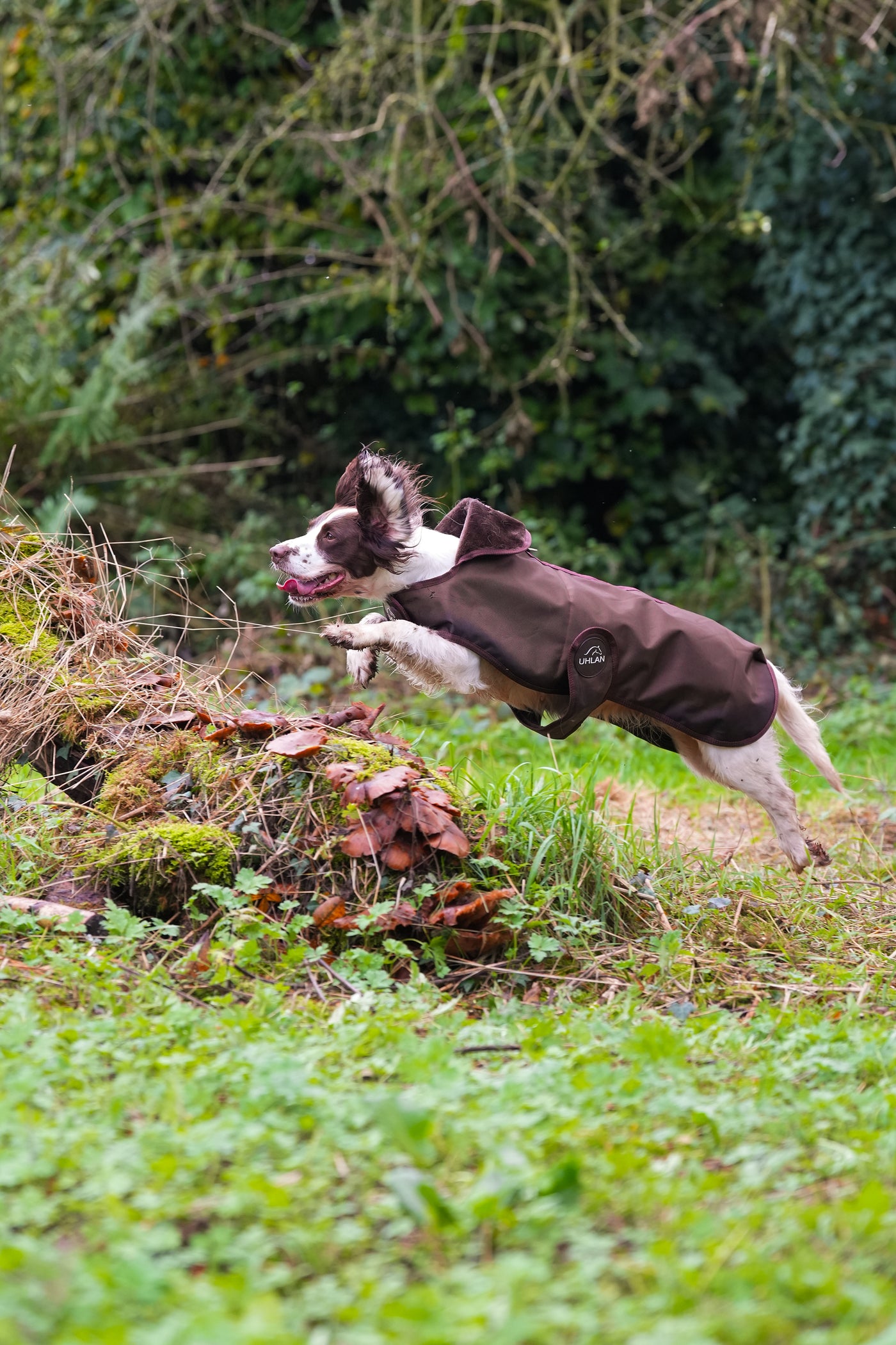 Brown Waterproof Dog Coat