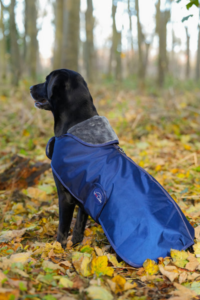 Navy Waterproof Dog Coat