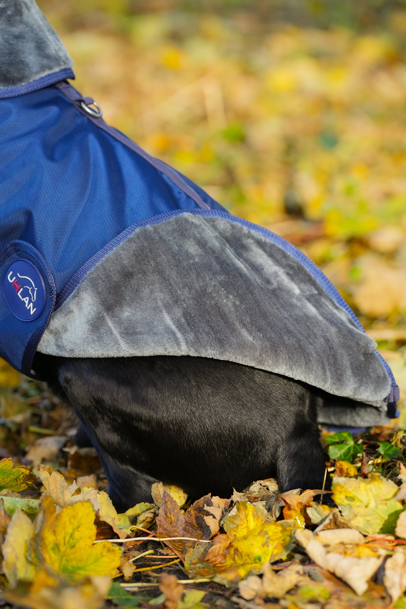 Navy Waterproof Dog Coat