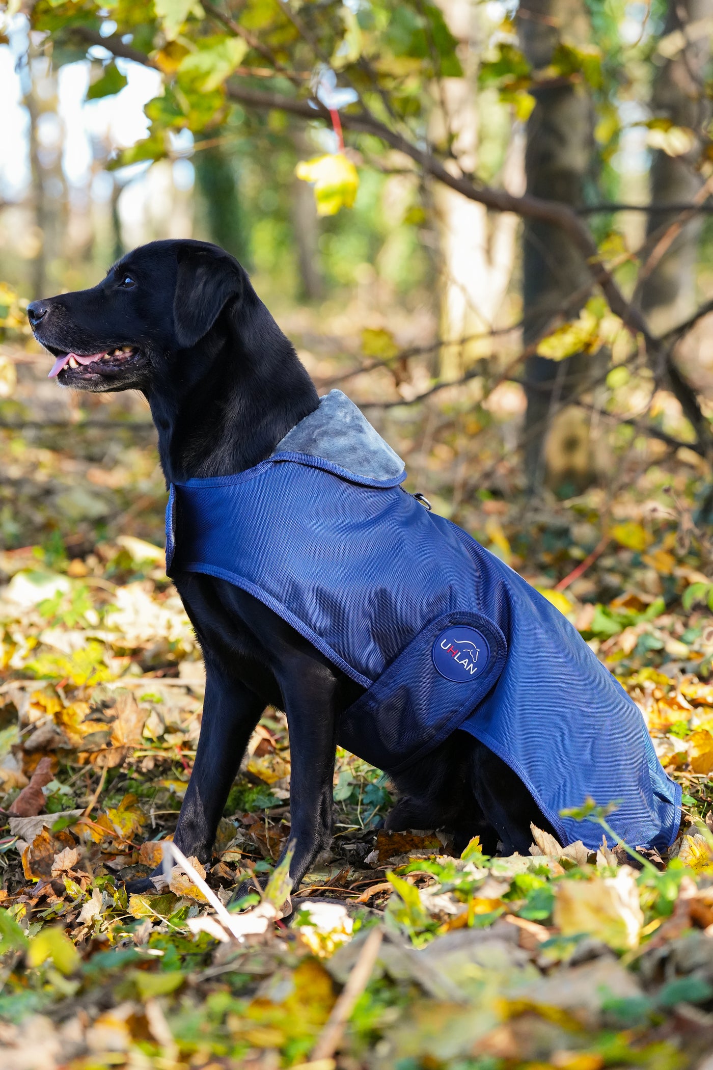 Navy Waterproof Dog Coat