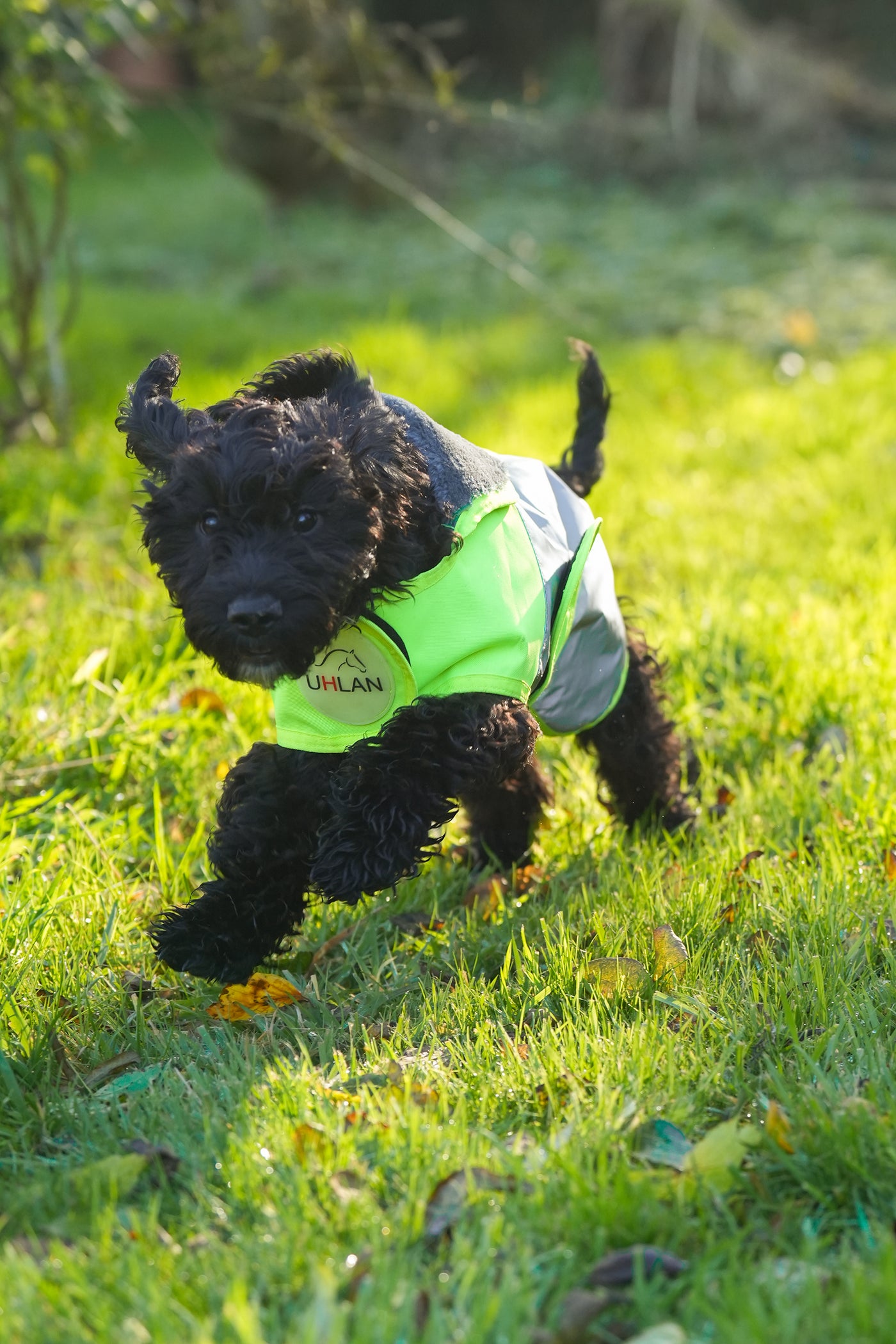 Yellow Hi Viz Waterproof Dog Coat