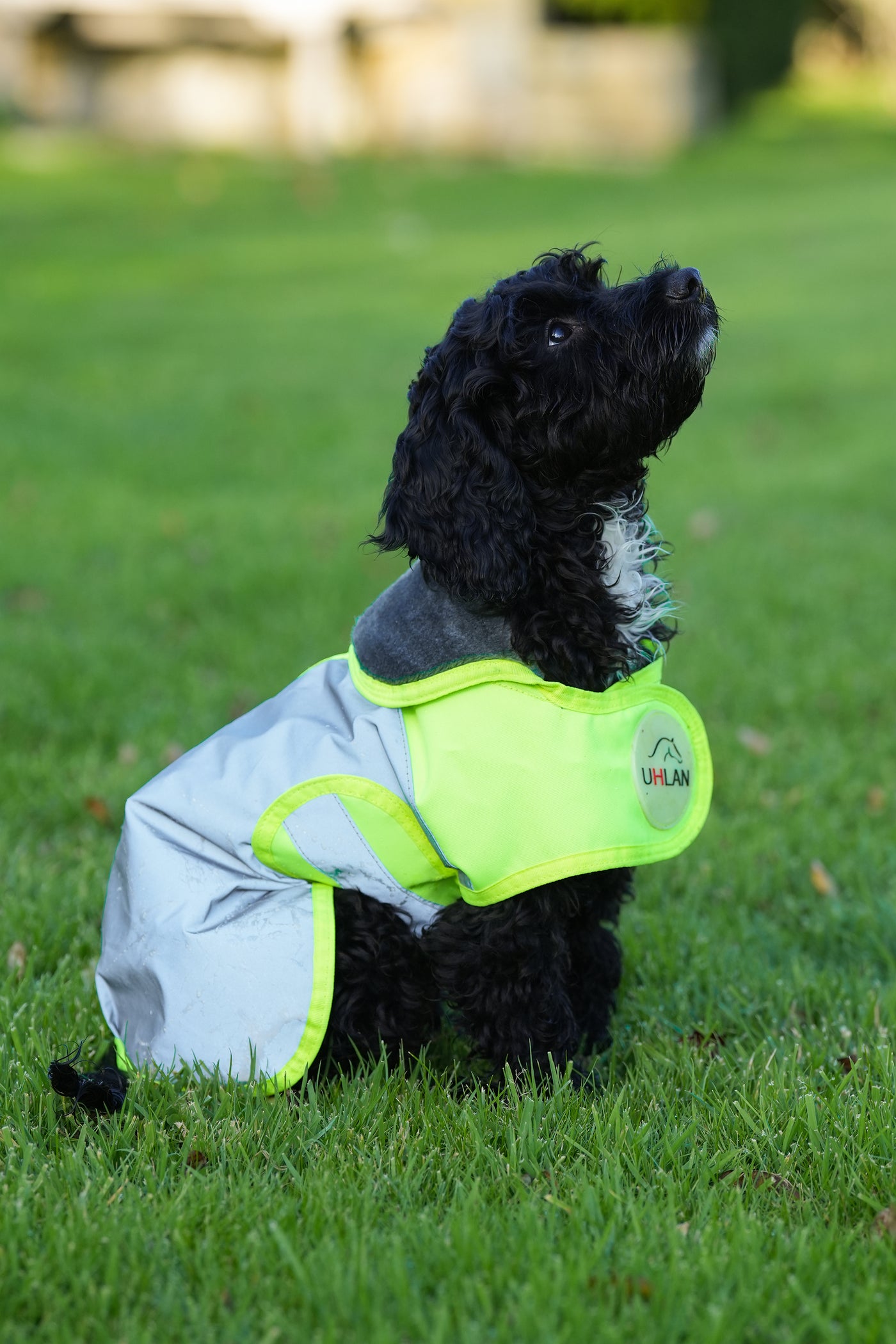 Yellow Hi Viz Waterproof Dog Coat