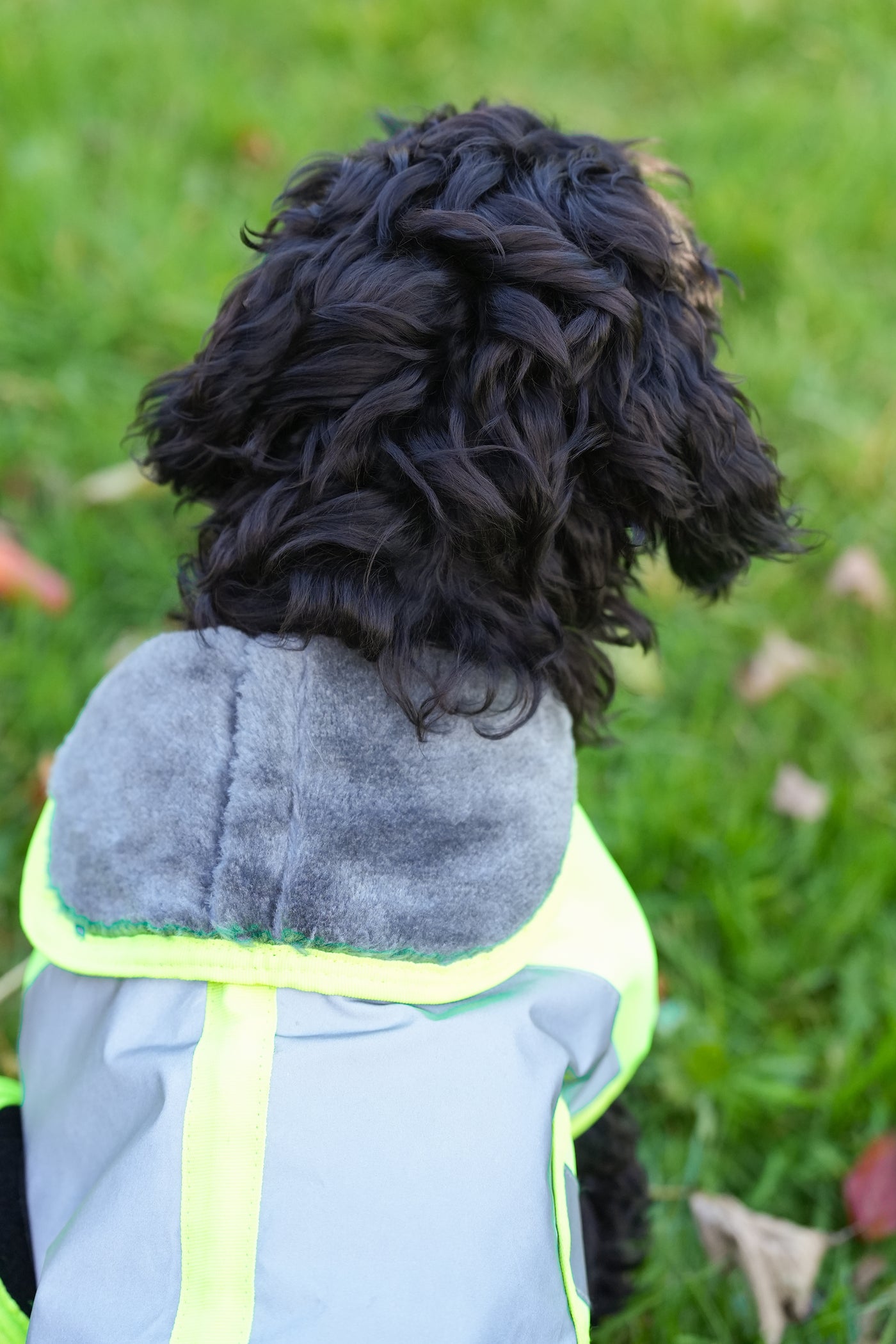 Yellow Hi Viz Waterproof Dog Coat