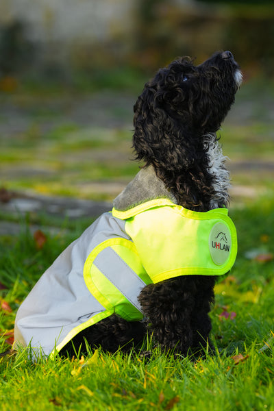 Yellow Hi Viz Waterproof Dog Coat