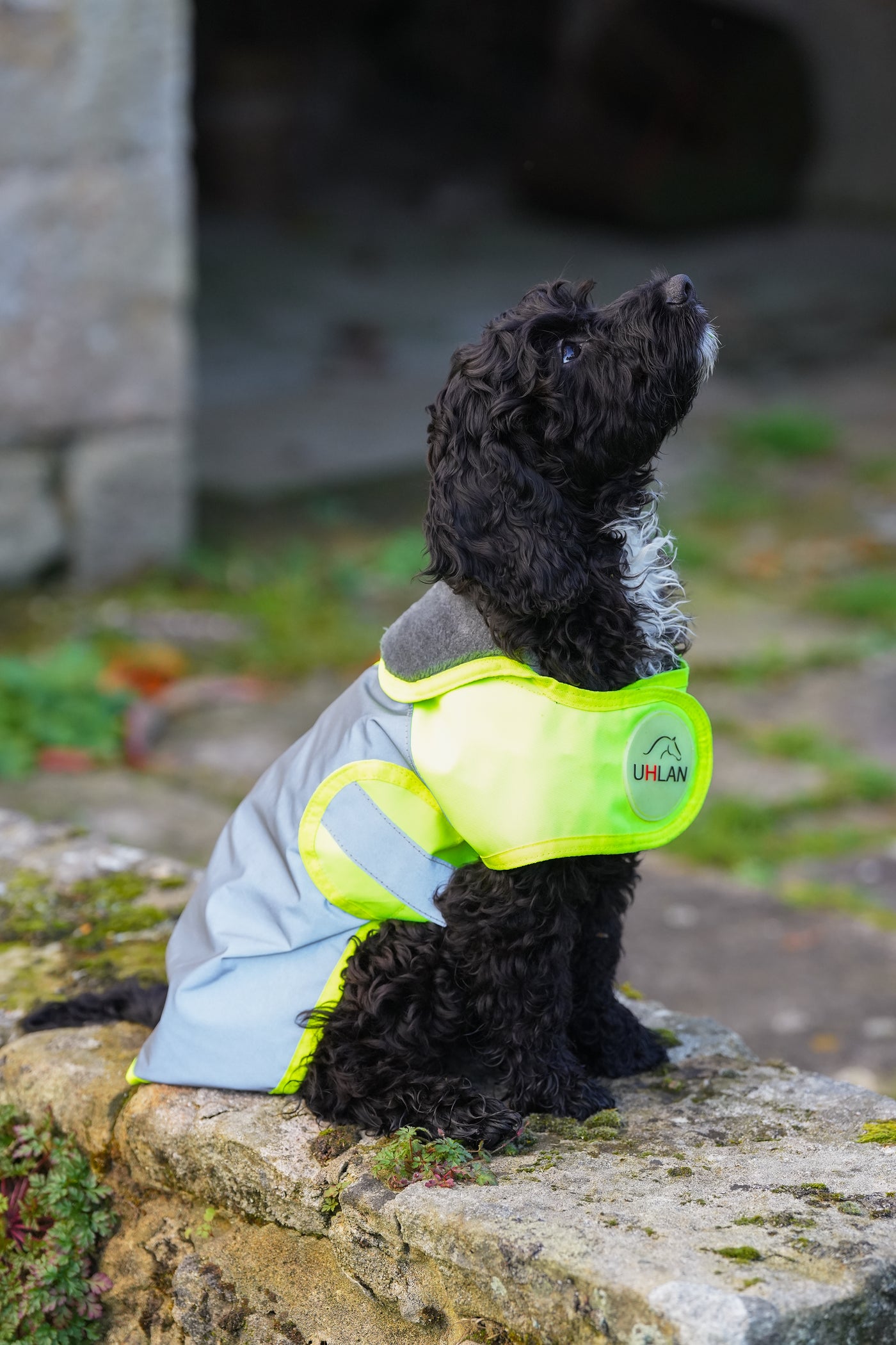 Yellow Hi Viz Waterproof Dog Coat