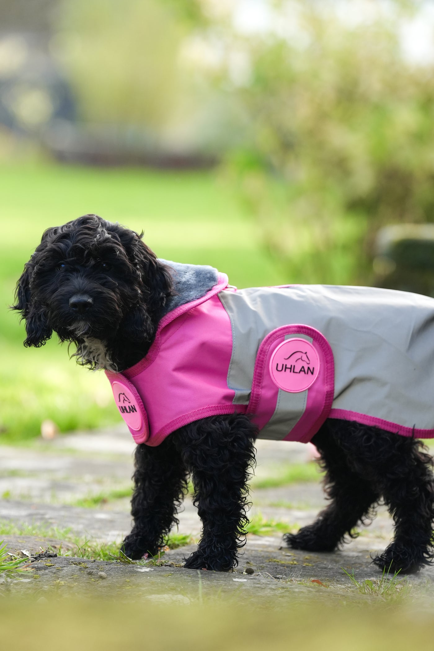 Pink Hi Viz Waterproof Dog Coat