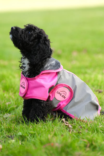 Pink Hi Viz Waterproof Dog Coat