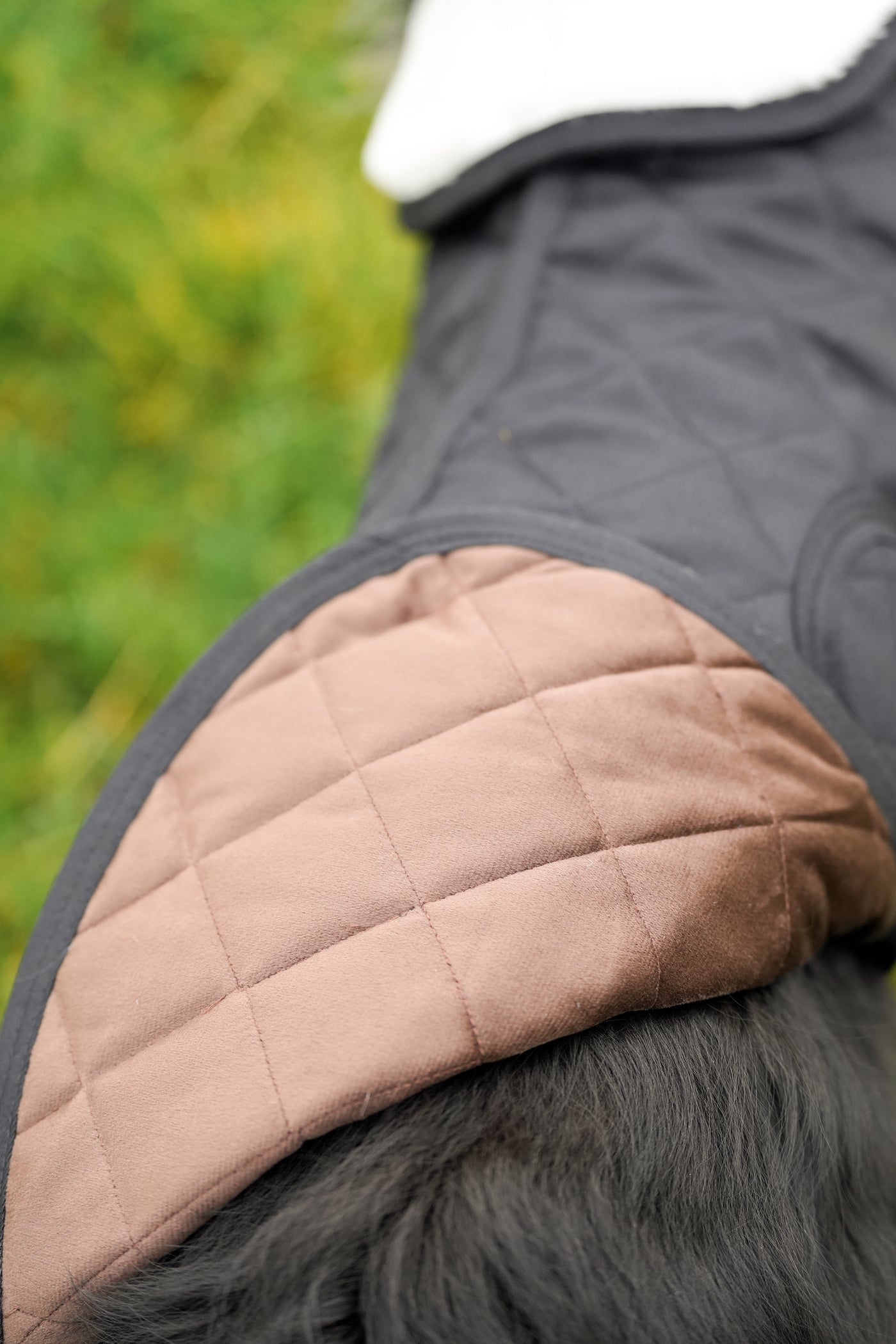 Black Quilted Dog Coat