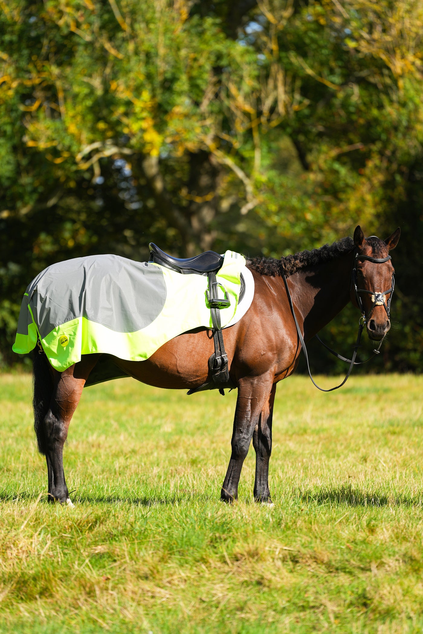 Yellow Hi Viz Reflected Waterproof Exercise Sheet Rug