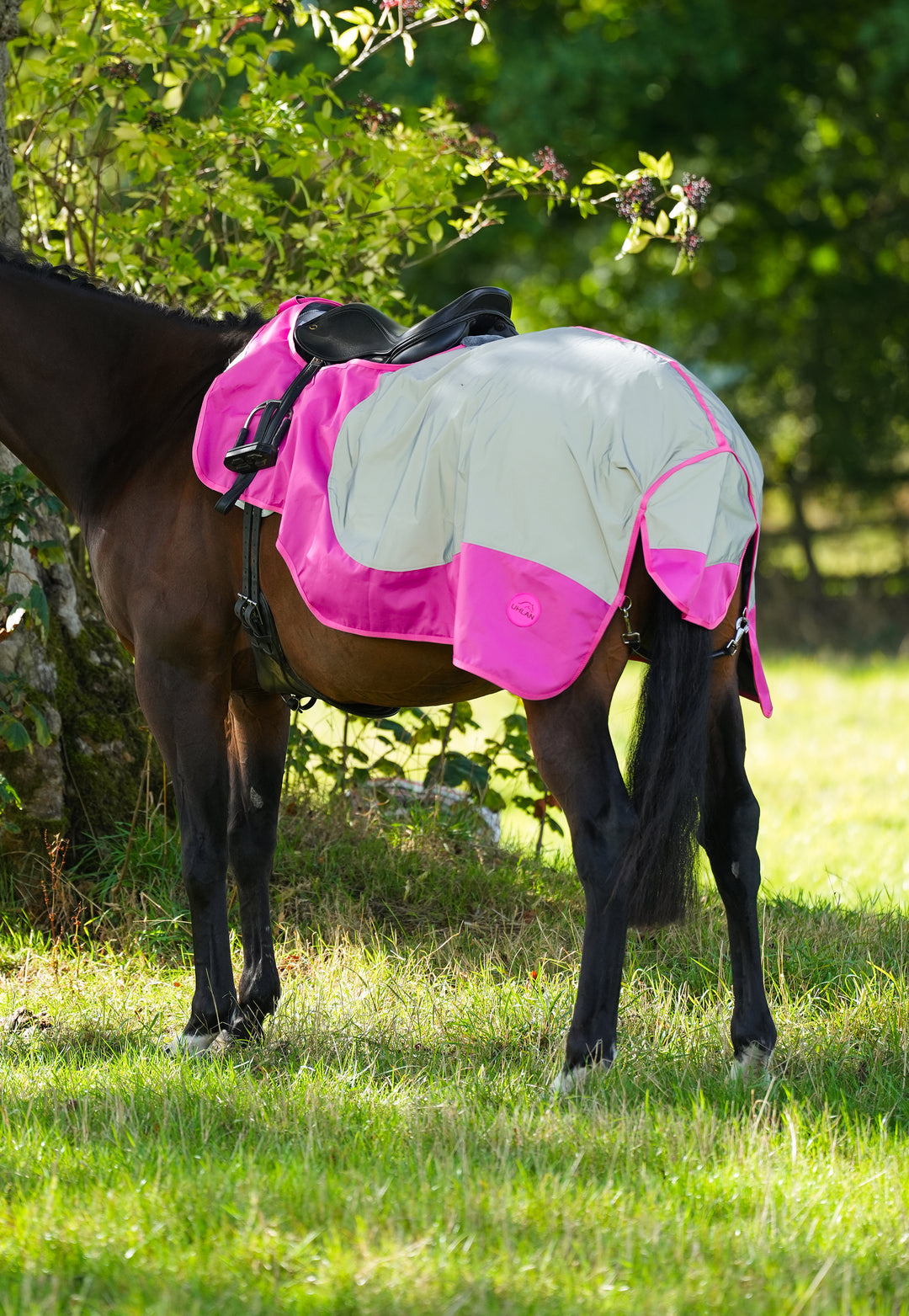 Equisafety Winter Wraparound Reflective Exercise Sheet For Horses | Pink Pony Rug | Waterproof, Breathable