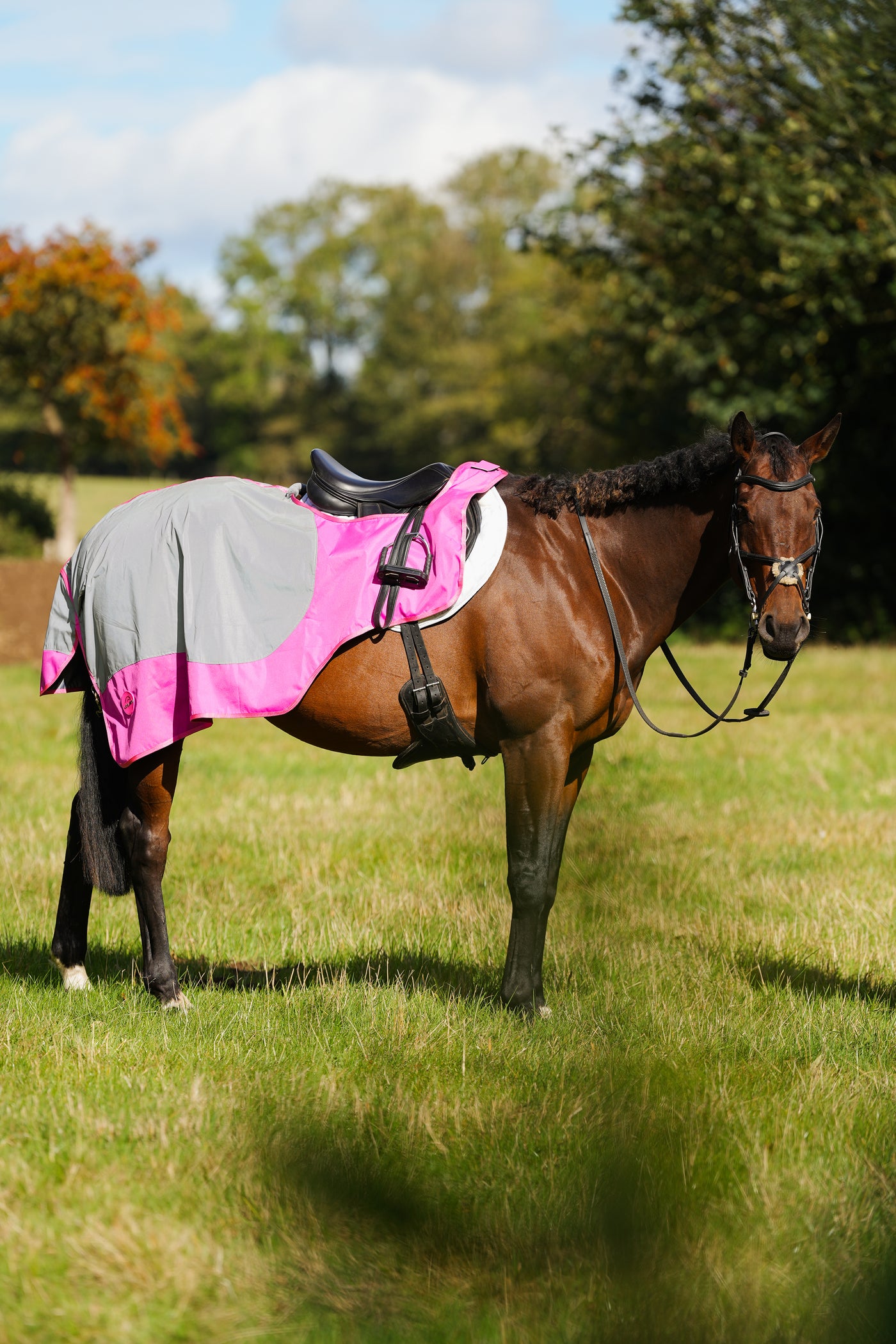 Pink Hi Viz Reflected Waterproof Exercise Sheet Rug