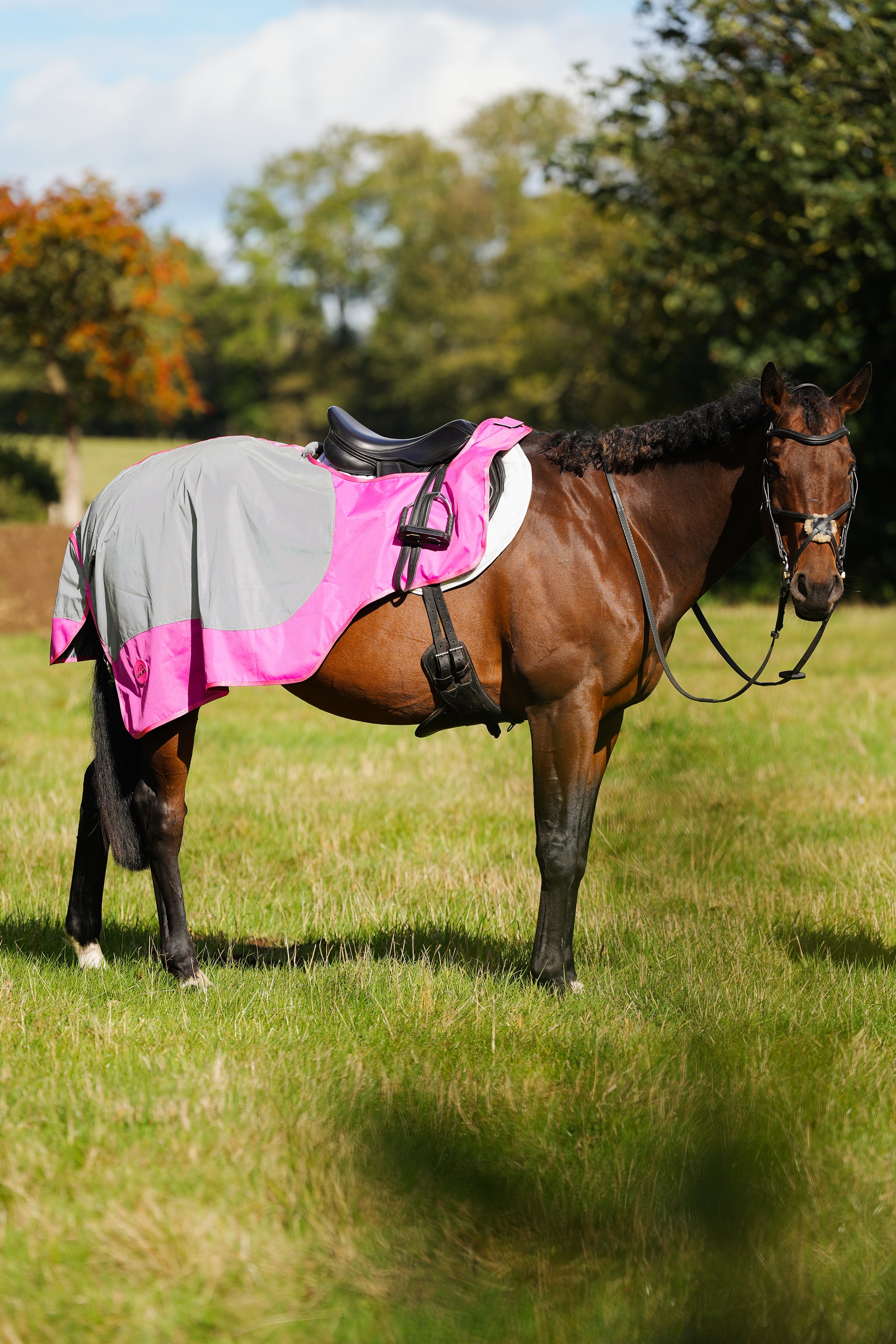 PinkHi Viz Reflected Horse Exercise Sheet Waterproof – Uhlan