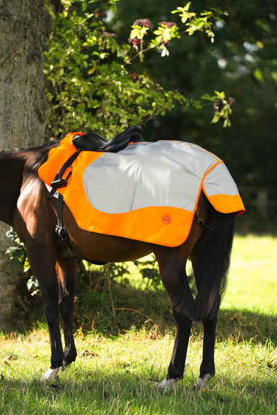Orange Hi Viz Reflected Waterproof Exercise Sheet Rug