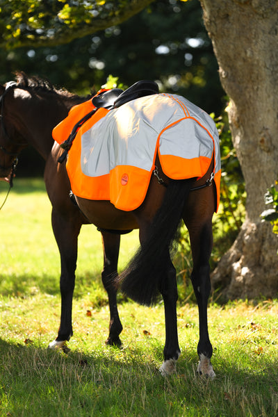 Orange Hi Viz Reflected Waterproof Exercise Sheet Rug