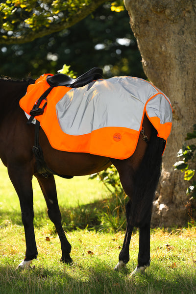 Orange Hi Viz Reflected Waterproof Exercise Sheet Rug