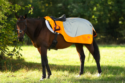 Orange Hi Viz Reflected Waterproof Exercise Sheet Rug