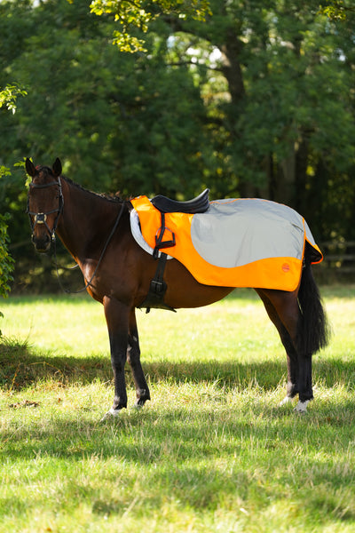 Orange Hi Viz Reflected Waterproof Exercise Sheet Rug