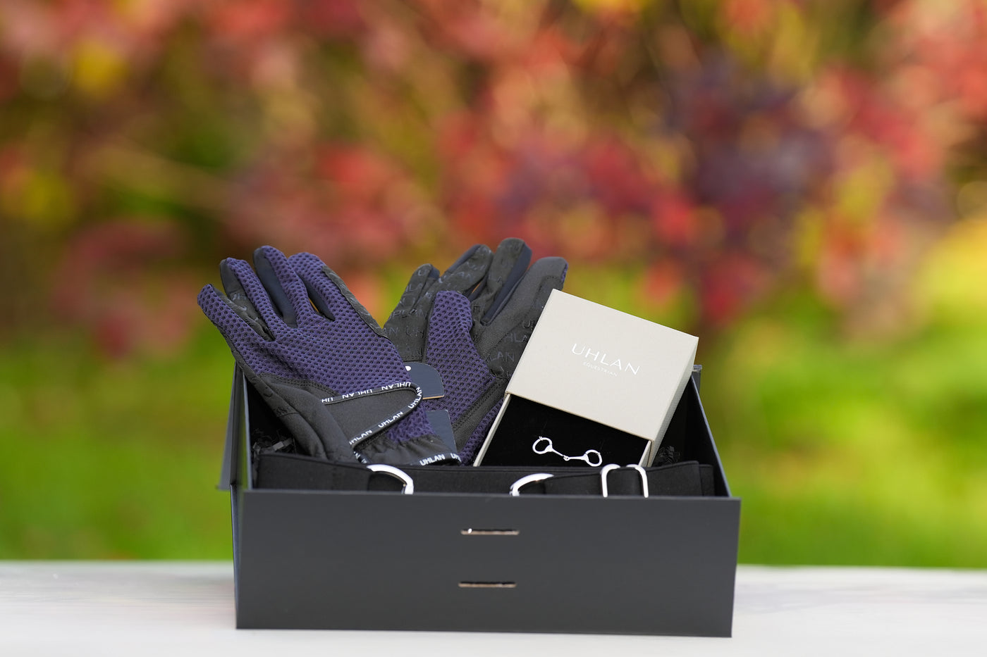 Equestrian Accessories Gift Box