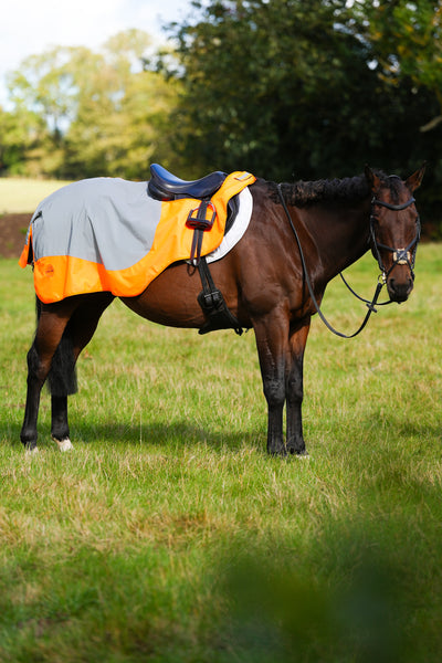 Orange Hi Viz Reflected Waterproof Exercise Sheet Rug