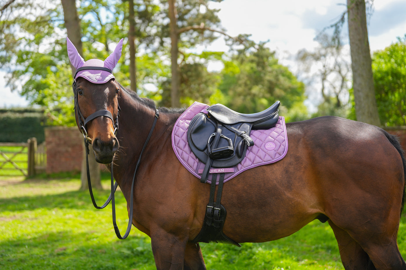 Lavender Airflow Saddle Pad GP/Jump 2.0
