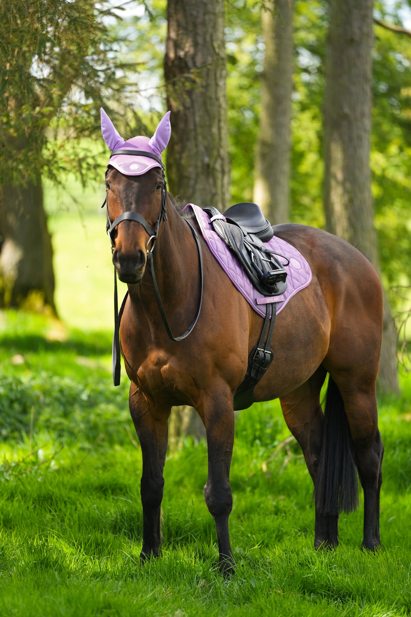 Lavender Airflow Saddle Pad GP/Jump 2.0