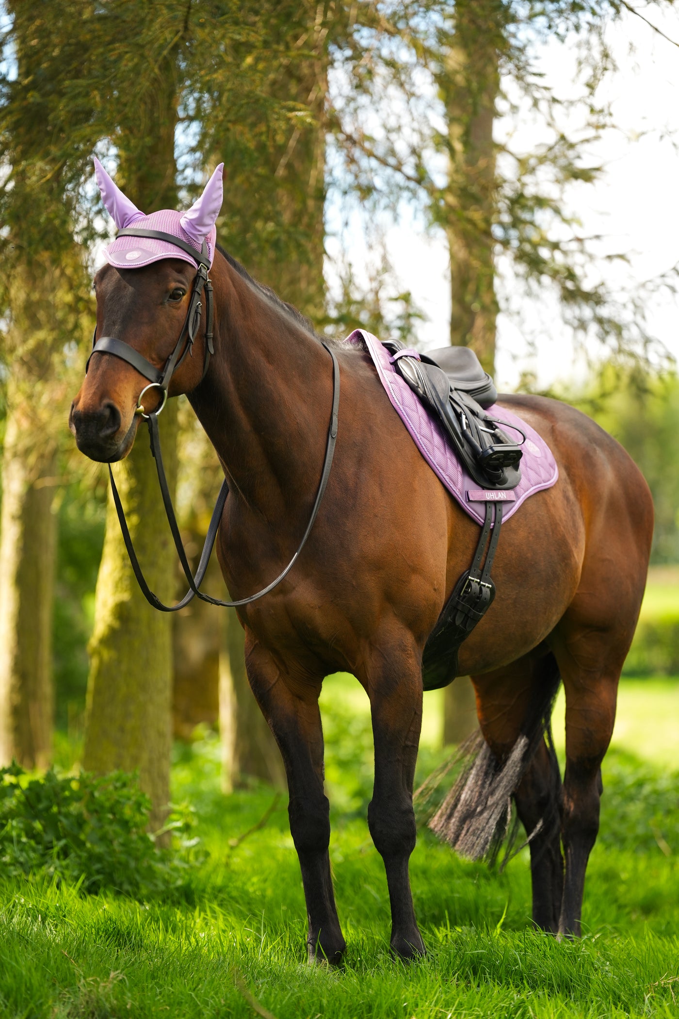 Lavender Airflow Saddle Pad GP/Jump 2.0