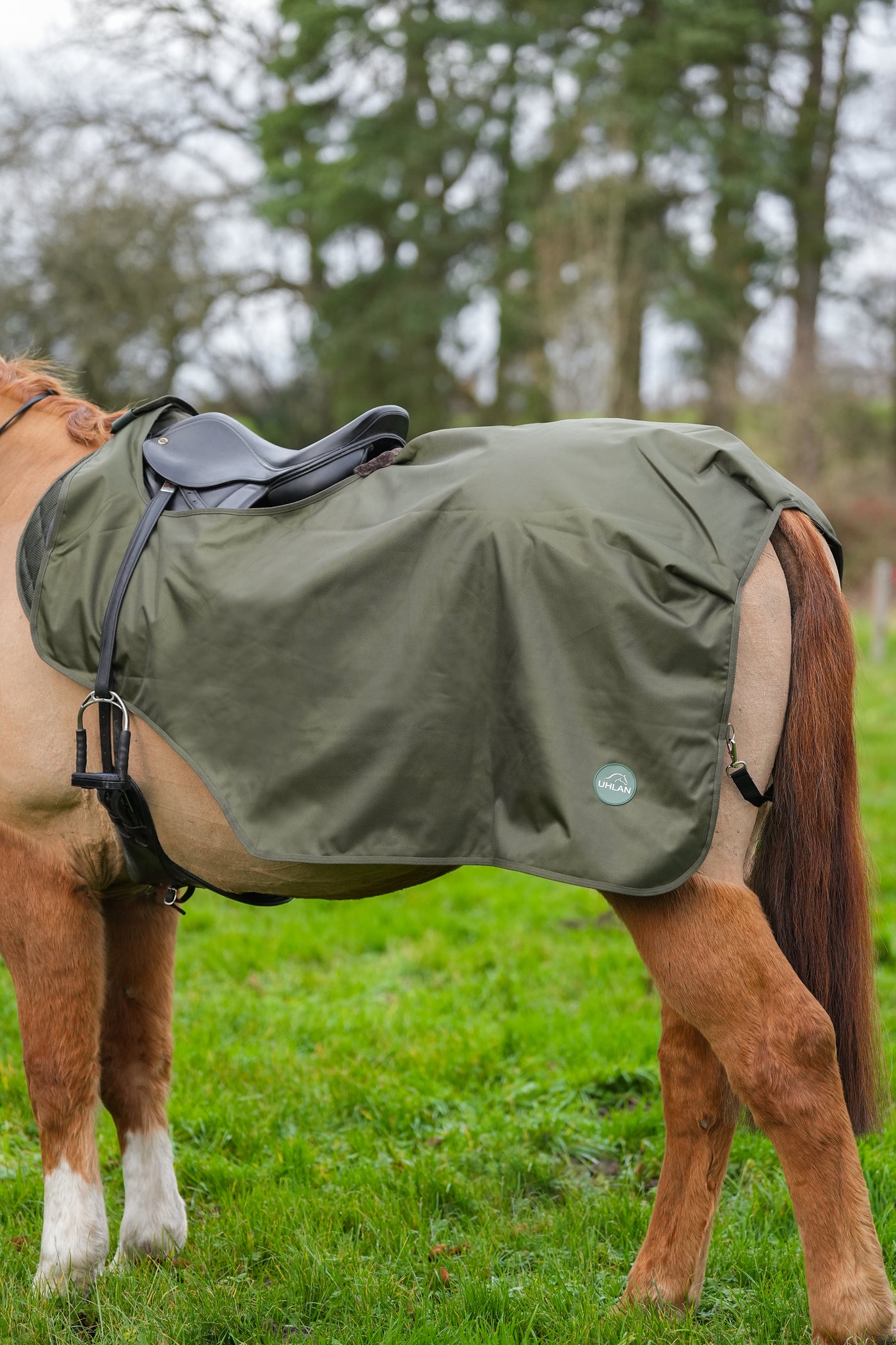 Hunter Green Waterproof Exercise Sheet Rug