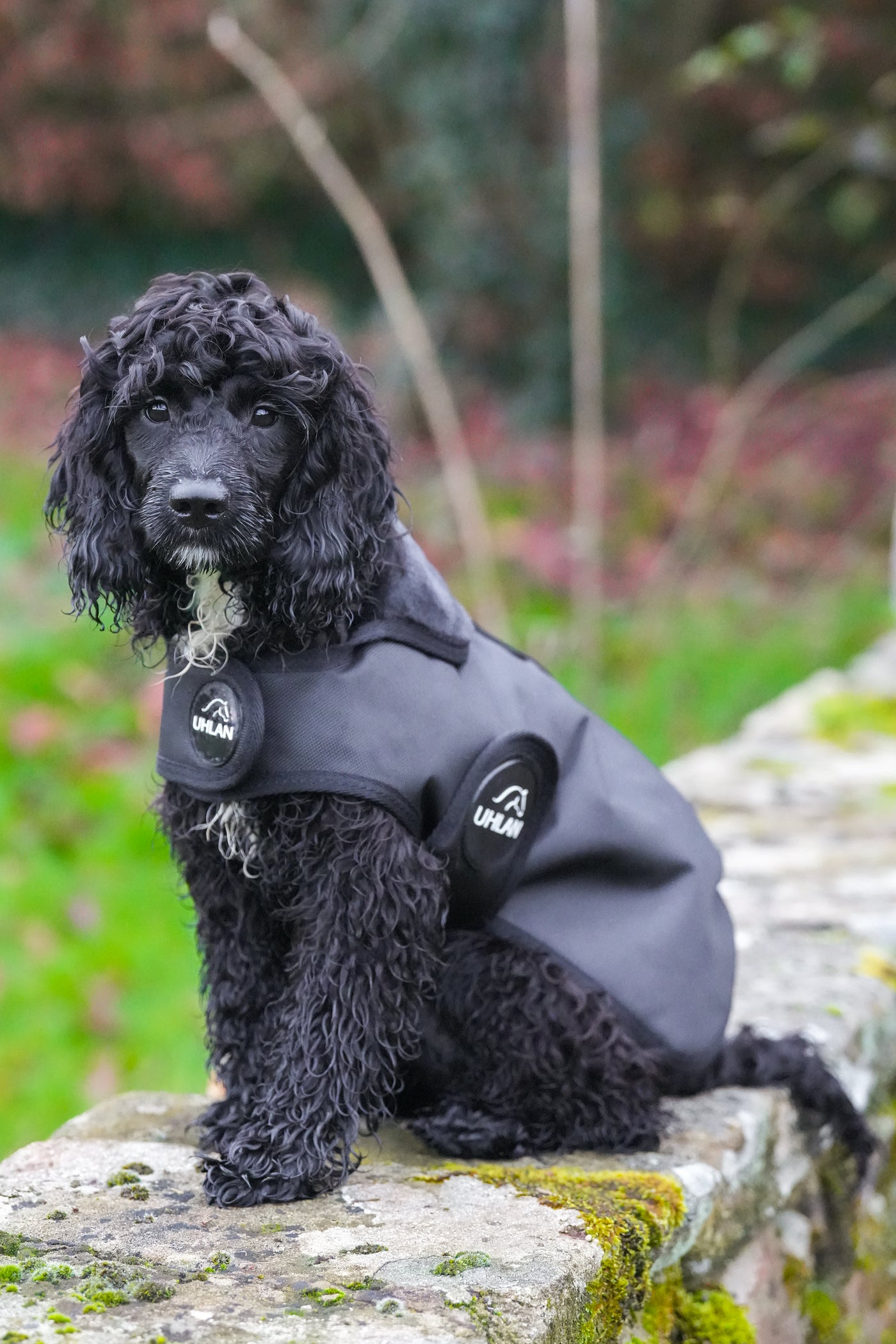 Black Waterproof Dog Coat